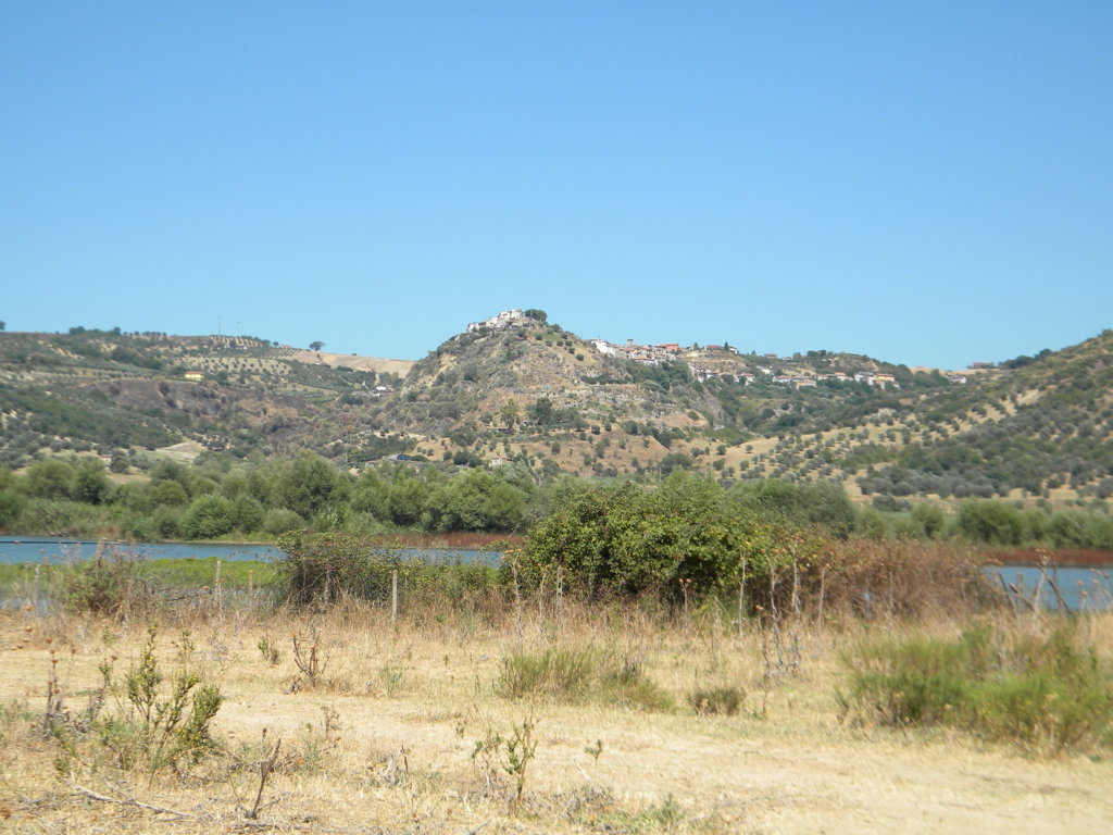 DSCN2591 .JPG